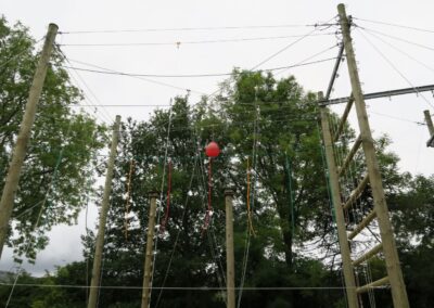 Carlton OEC – Rewire