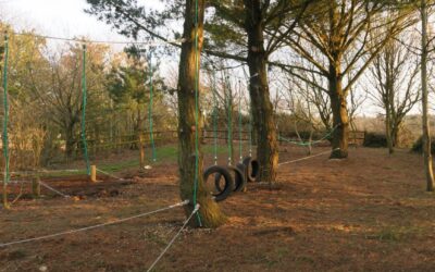 Low Ropes