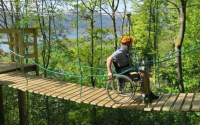 All Abilities Courses