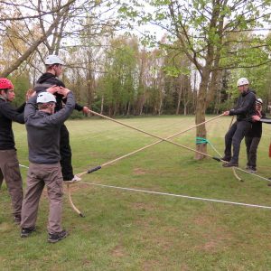 Low Ropes Course Team Building